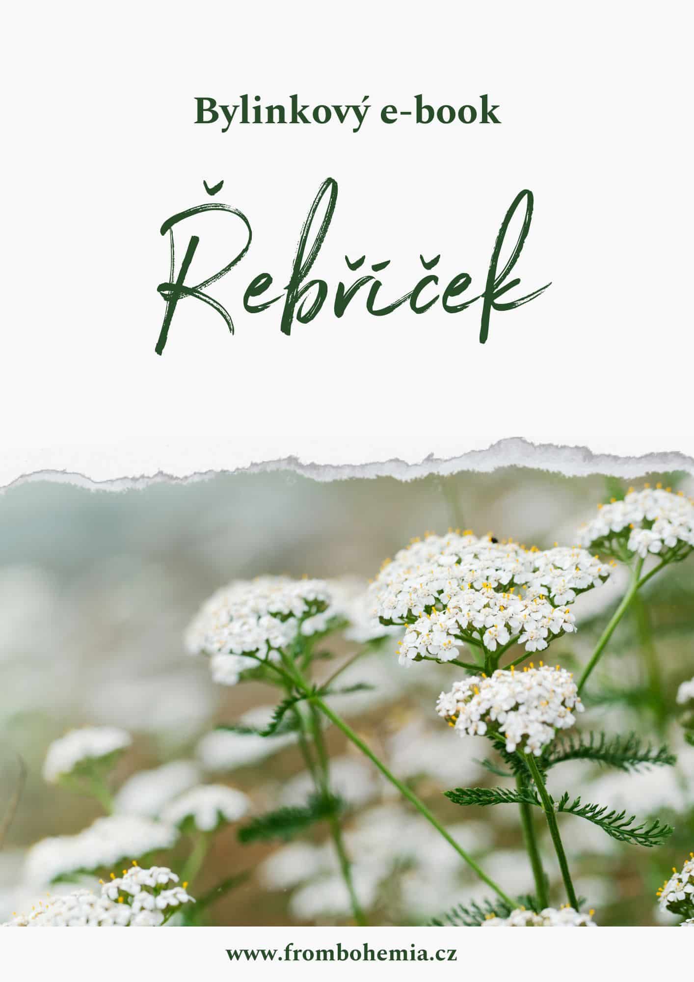 řebříček řebříček