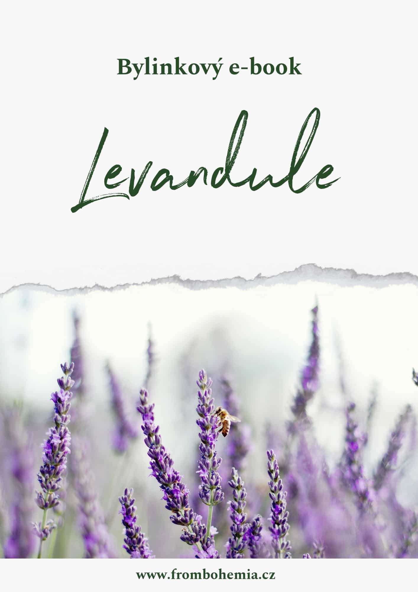 levandule levandule