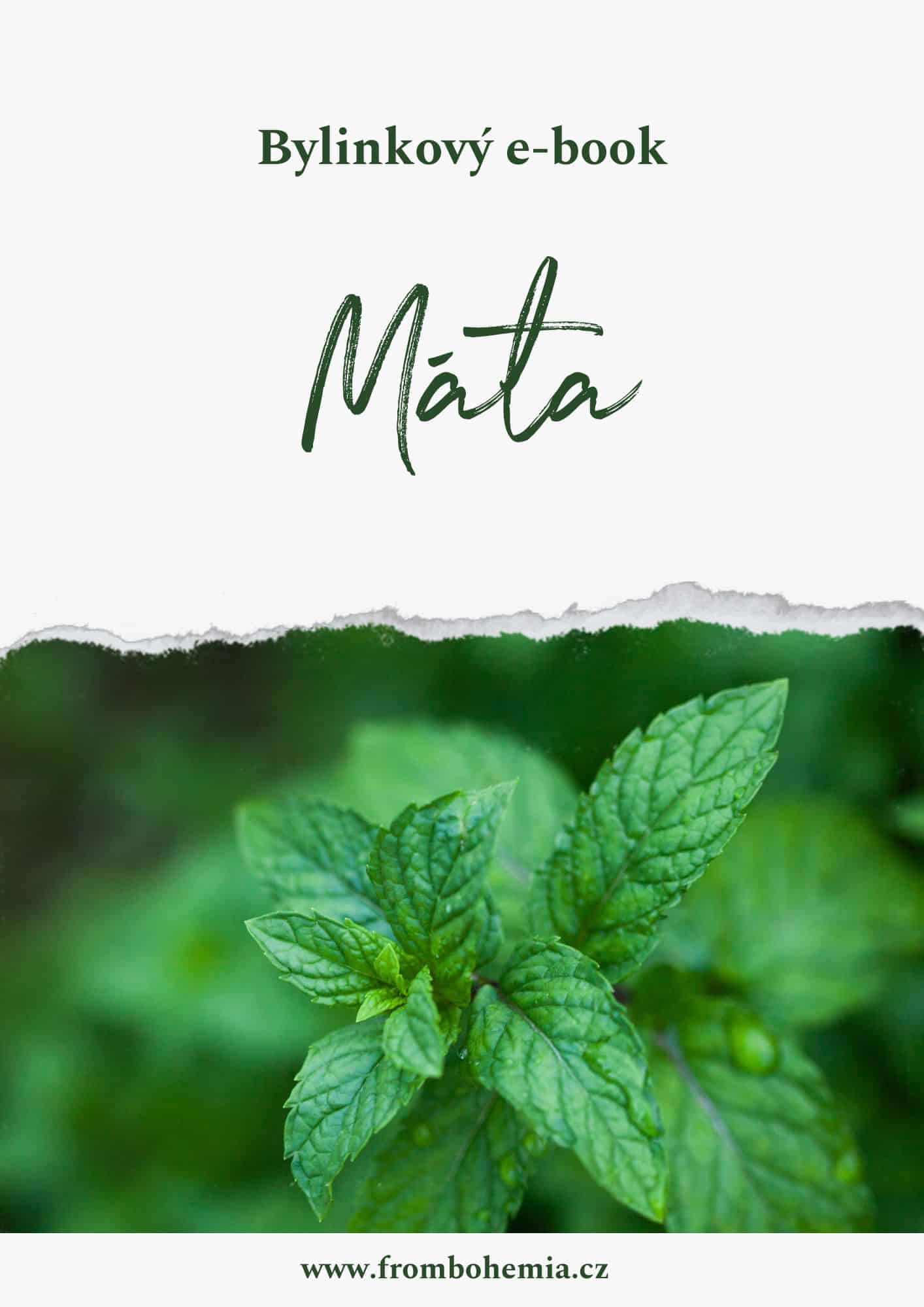 máta máta
