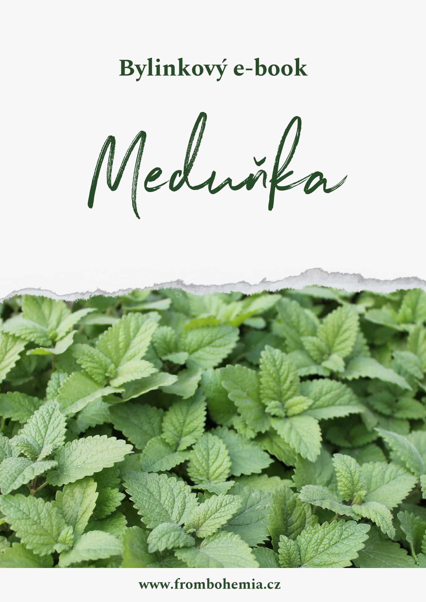 meduňka meduňka