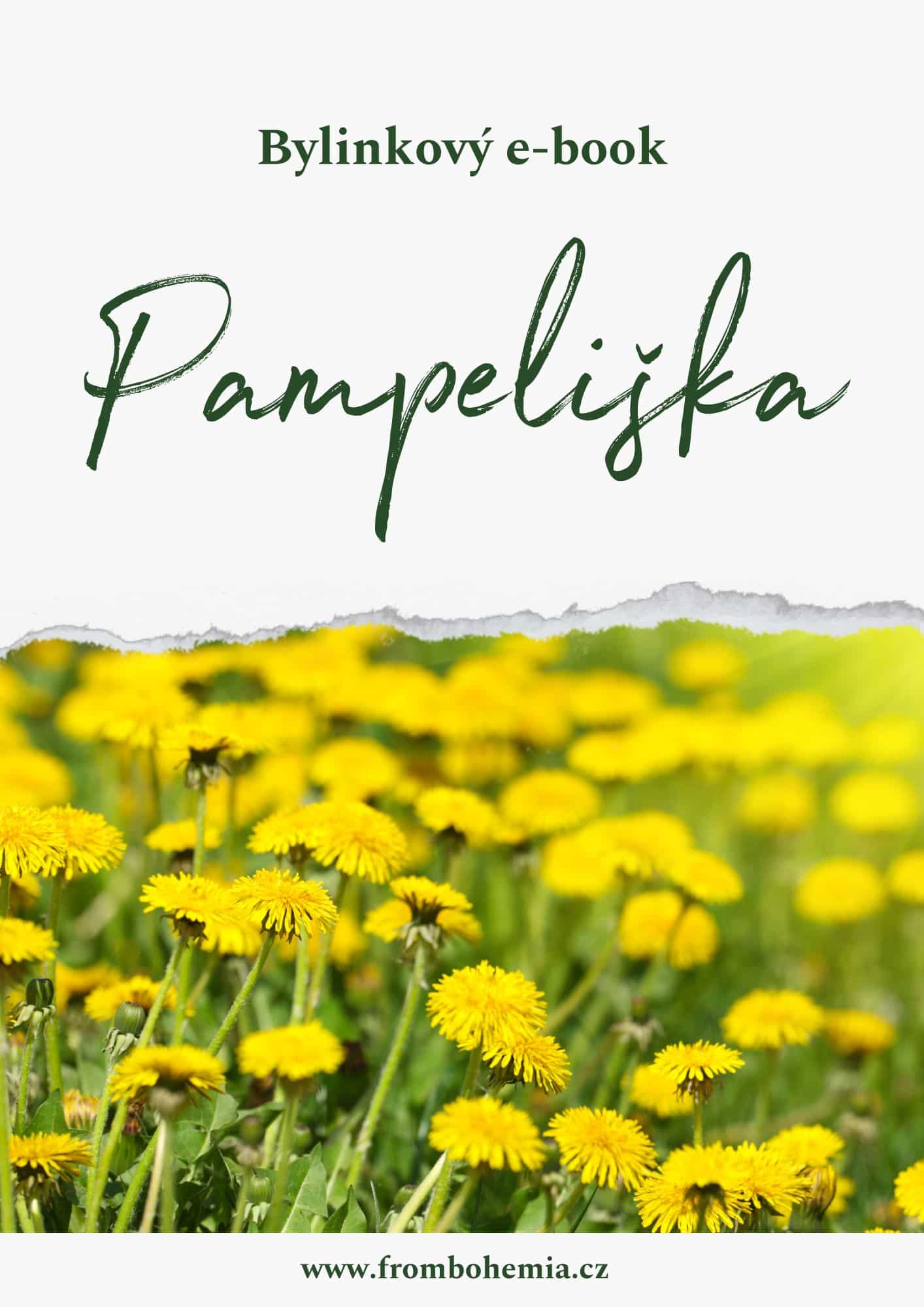 pampeliška e-book pampeliška e-book