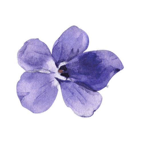 fialka