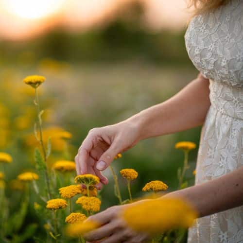 From Bohemia